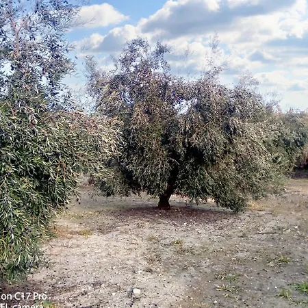 Charming House With Pool In Montilla *