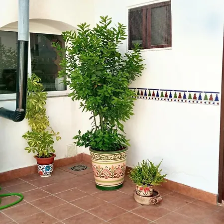 Charming House With Pool In Montilla * Jarata