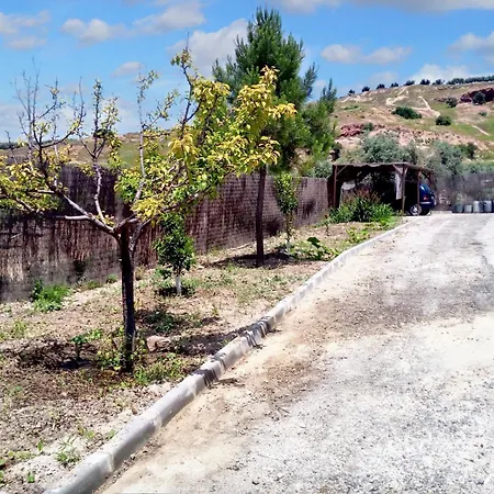 Charming House With Pool In Montilla *